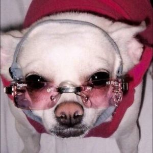 DOGGLES- Small Dog Sunglasses